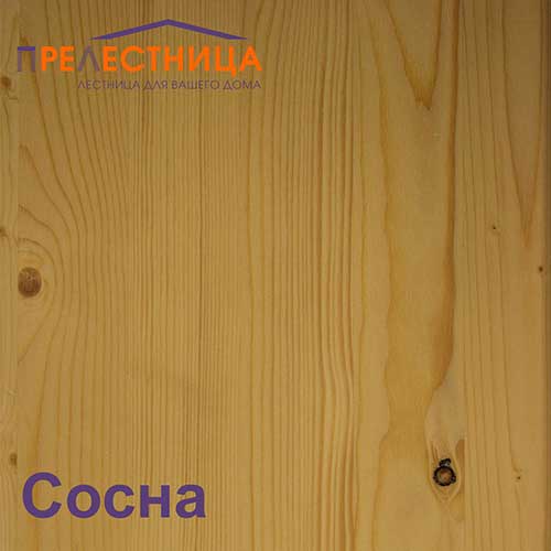 Пример ступеней из сосны